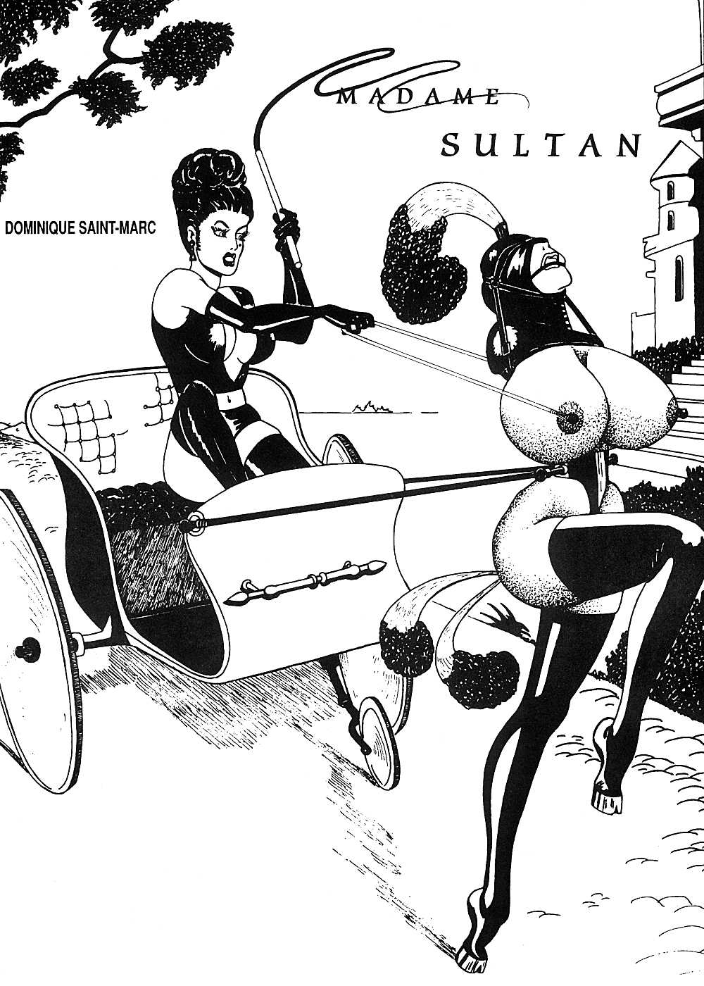 [Saint-Marc] Madame Sultan 0