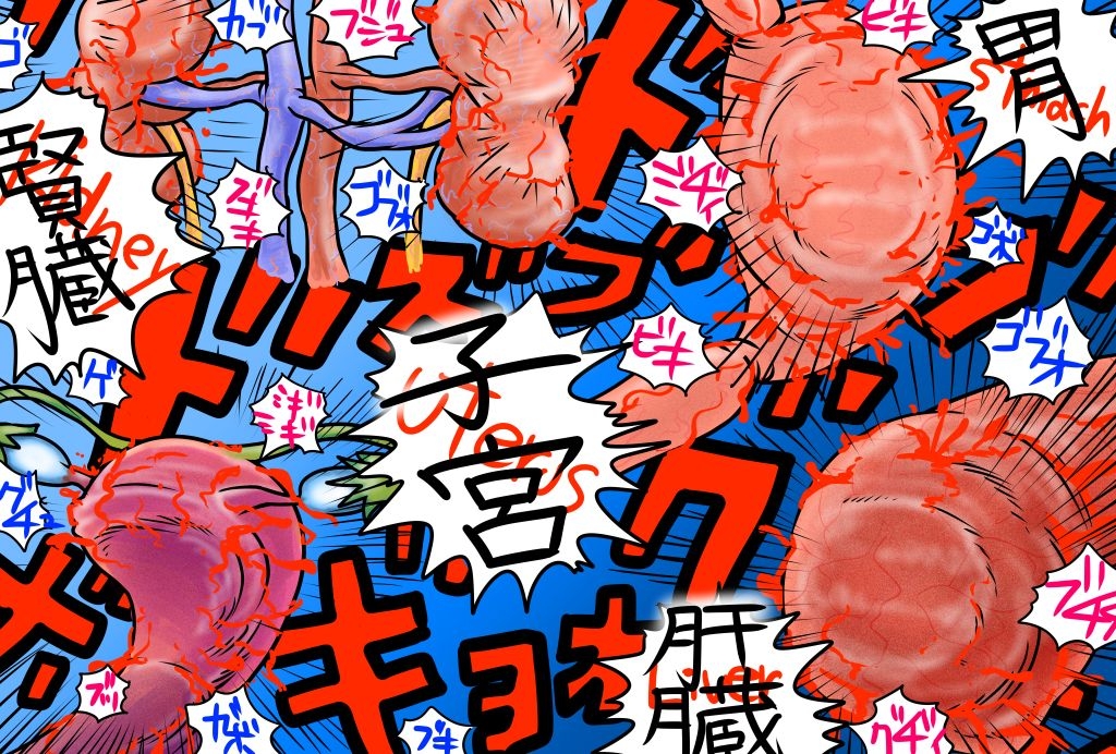 [Nomerikomu] Jururi to Ayanu 2 (Dead or Alive, Street Fighter) 10