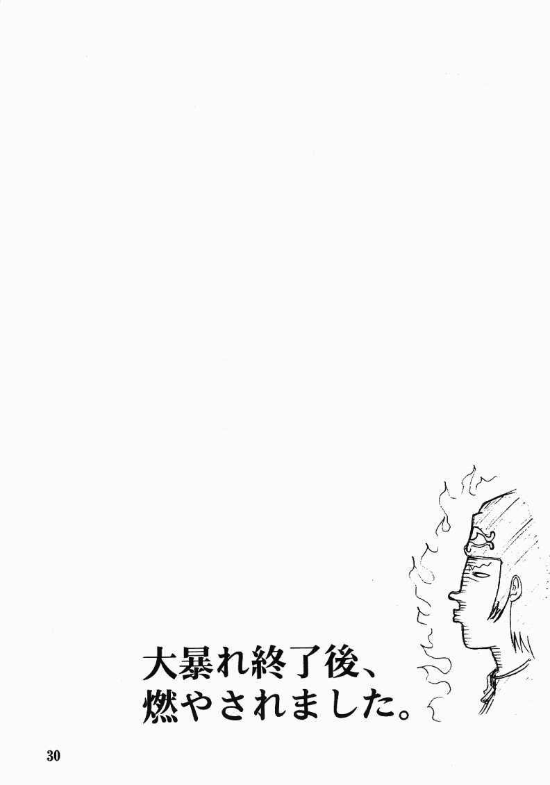 [FAKESTAR (Miharu)] CHAOS STEP (Hellsing) [English] [SaHa] 28