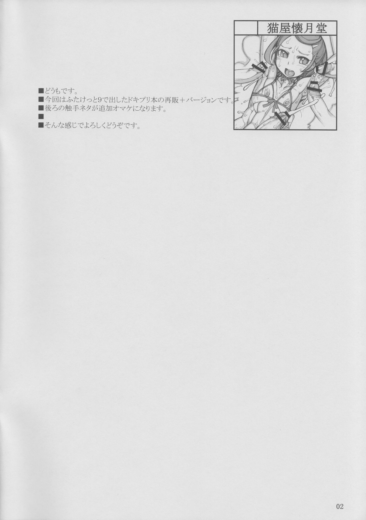 (SC60) [Nekoya Kaigetsudou (T.K-1)] ROUGH vol.47+ (Dokidoki! Precure) 1