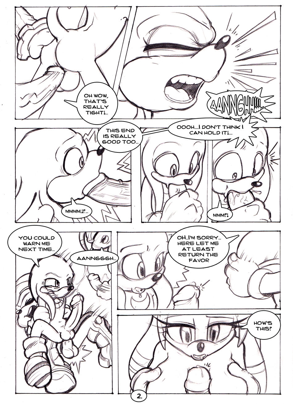 [Neokat] Happy Accidents Pt. 1 & 2 (Sonic The Hedgehog) 1