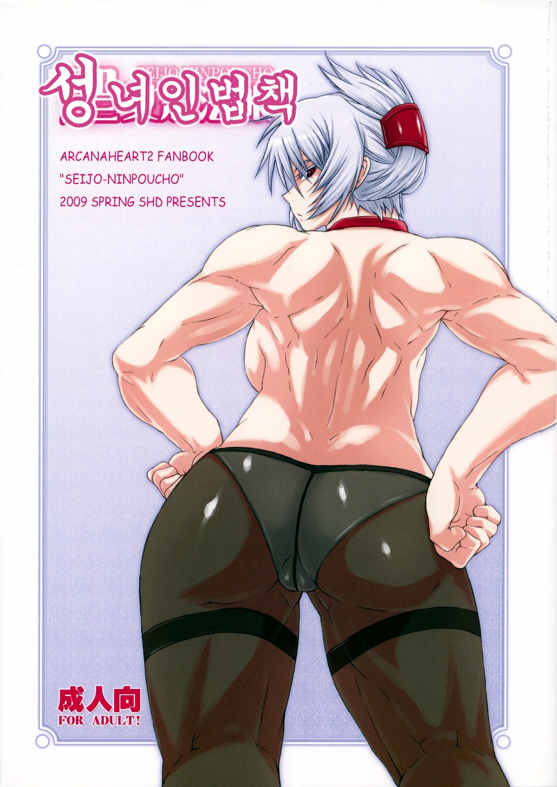 (COMIC1☆3) [SHD (Buchou Chinke, Hiromi)] Seijo Ninpouchou (Arcana Heart) [Korean] 0