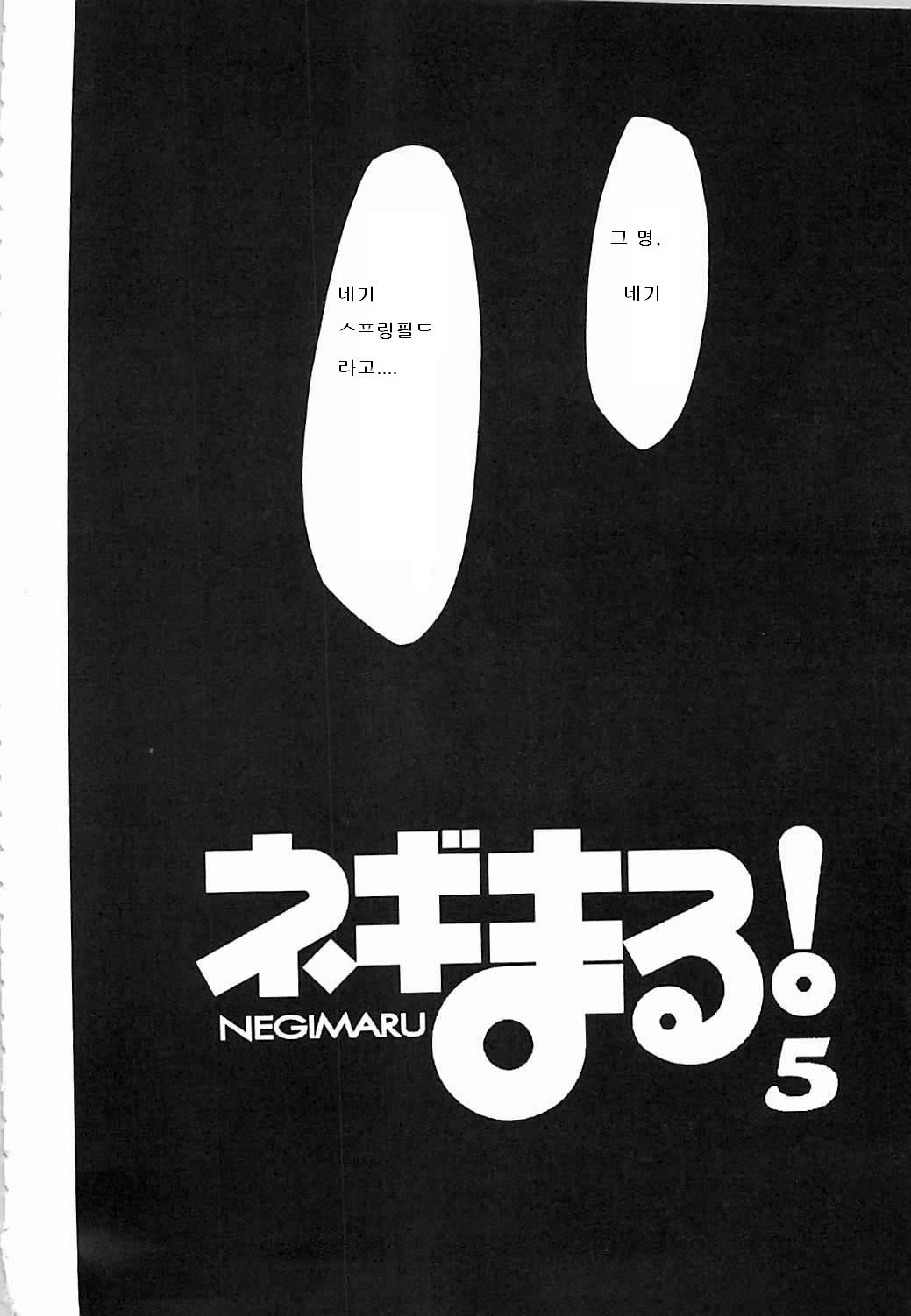 (C72) [Studio Kimigabuchi (Kimimaru)] Negimaru! 5 (Mahou Sensei Negima!)[Korean] 4