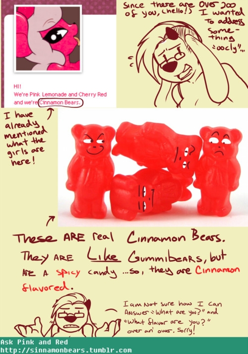 Sinnamon Bears (Kamicheetah) 6