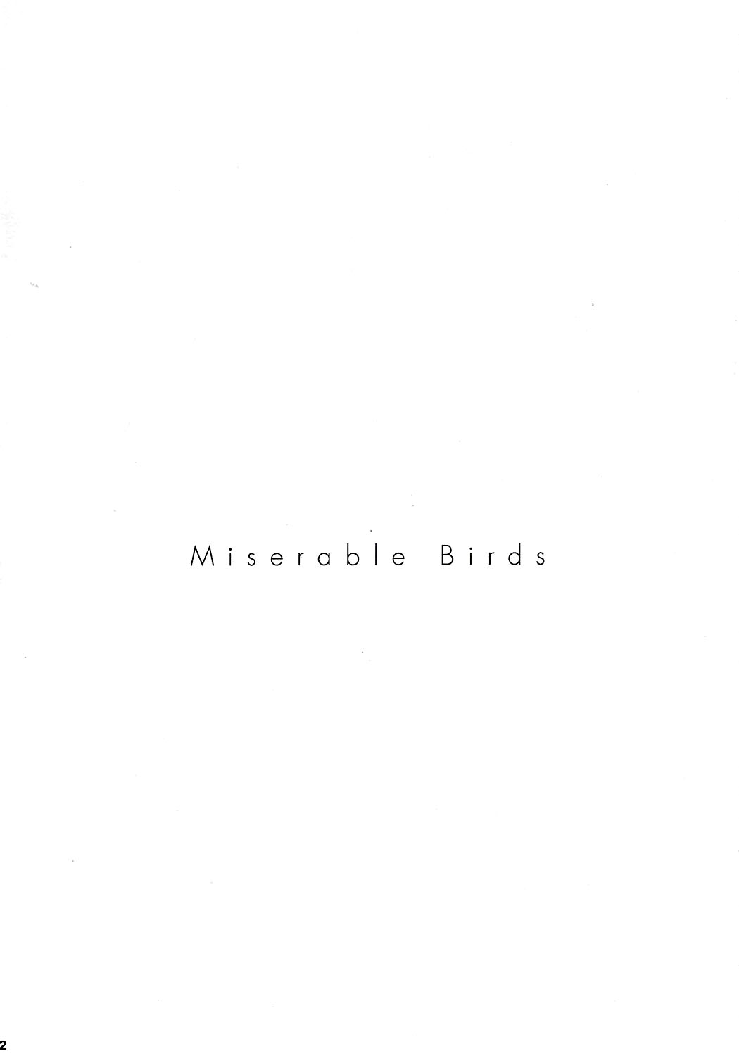 (C70) [EINSATZ GRUPPE (Charlie Nishinaka)] PRISONER 8 Miserable Birds (Gundam SEED DESTINY) [English] [YQII] 2