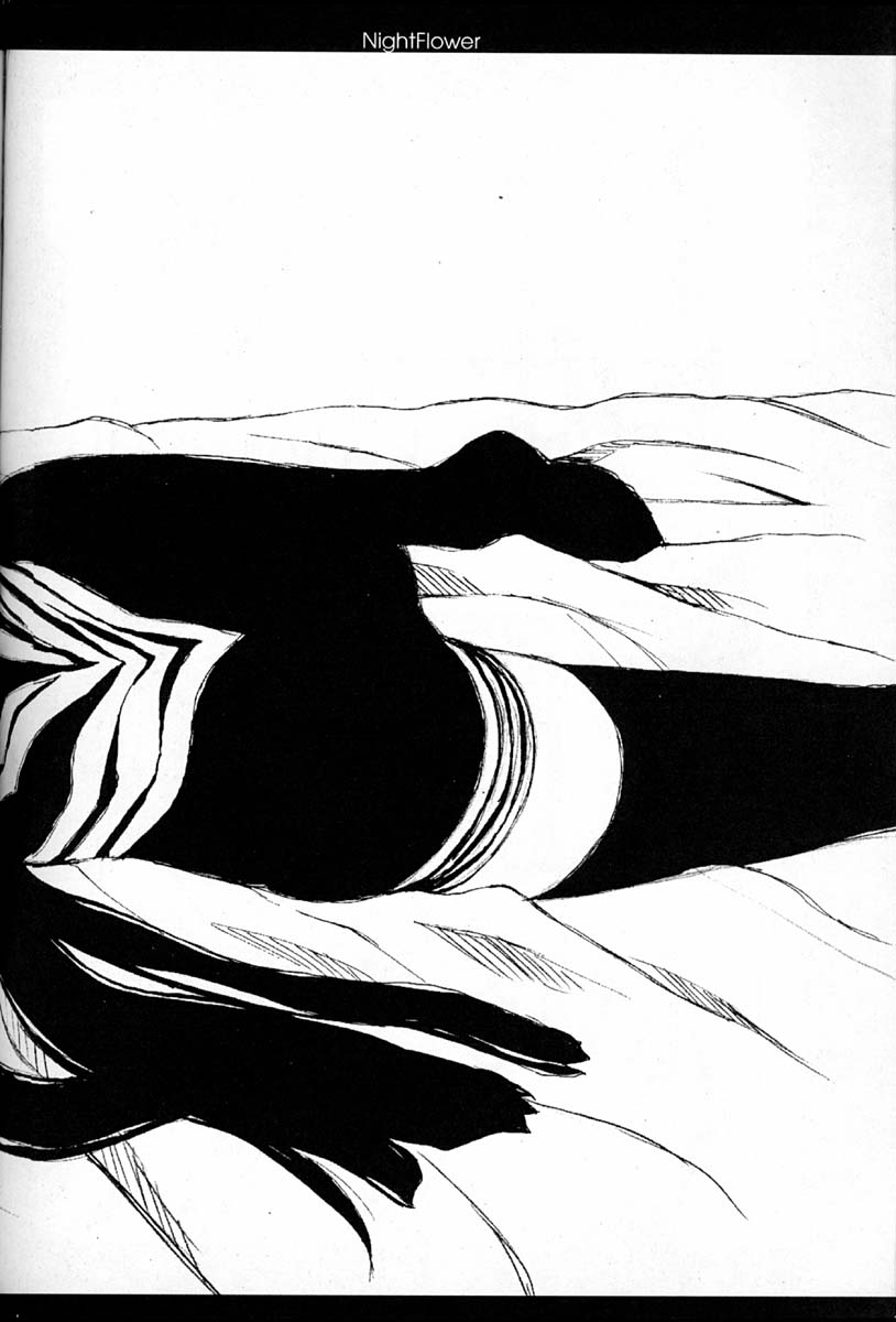 (C59) [VANISHING POINT (Takano Masayuki)] NightFlower 38