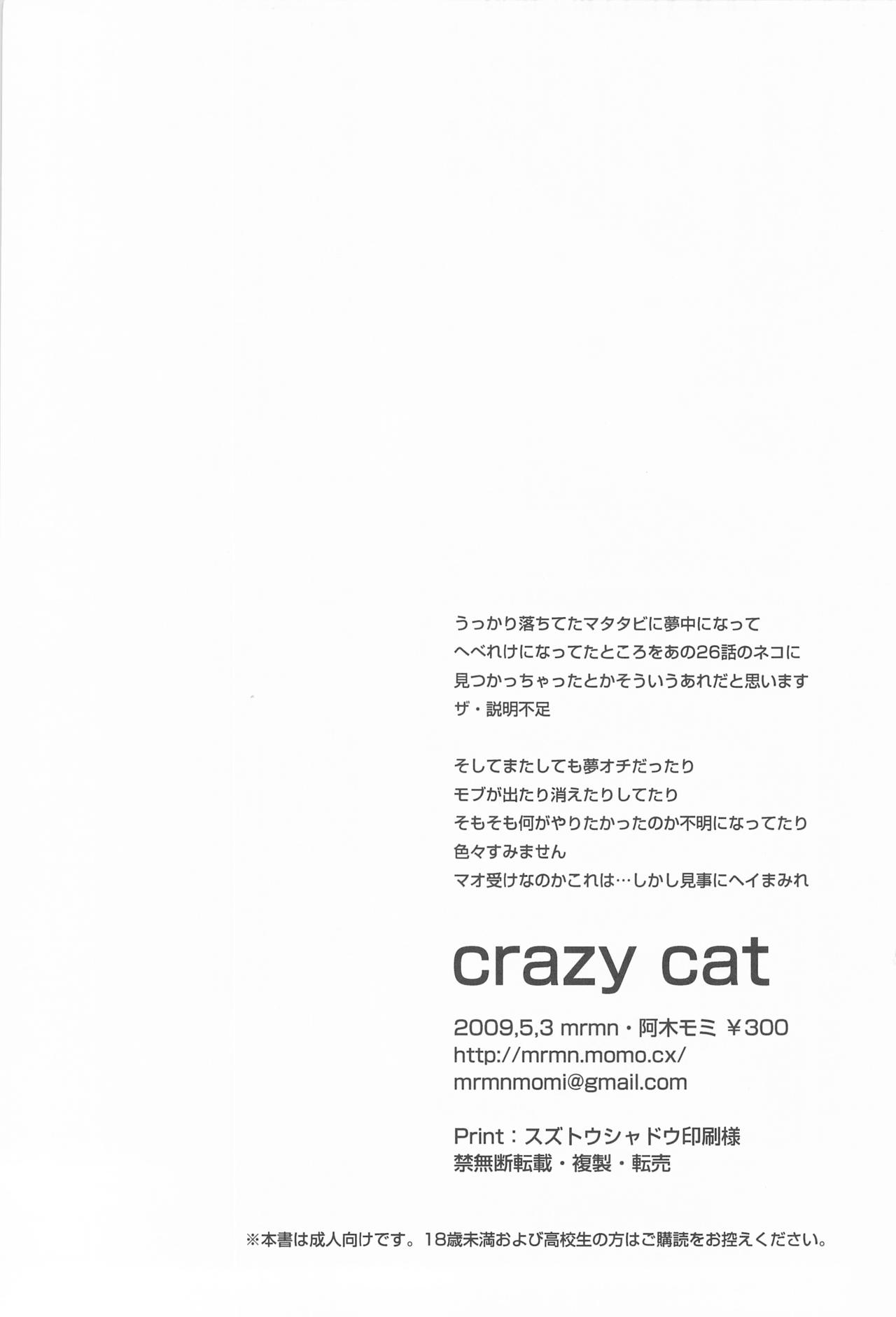 [DARKER THAN BLACK] CrazyCat（mrmn） 17