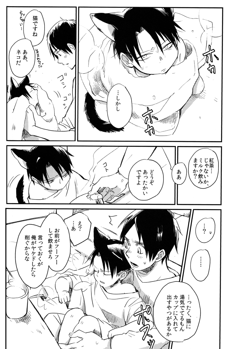 (C85) [Yamawarau (Kuromame Kuro)] Ore, Neko (Shingeki no Kyojin) 6