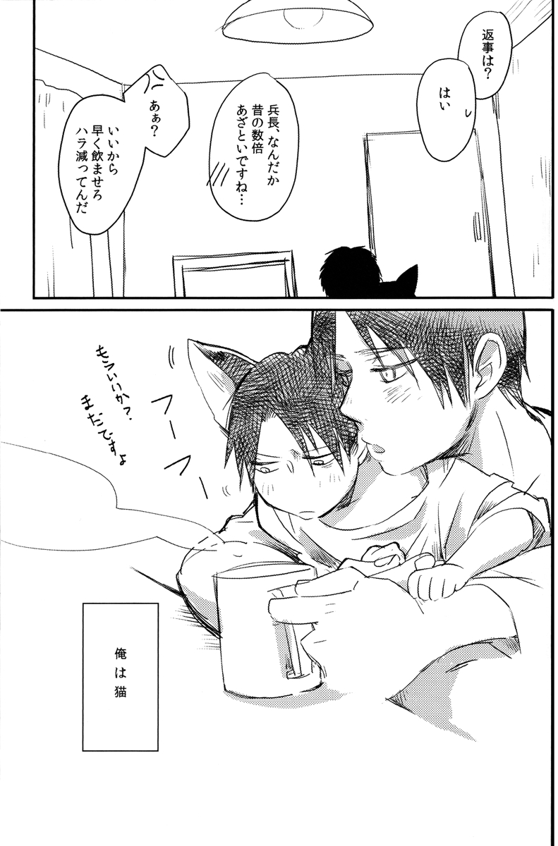 (C85) [Yamawarau (Kuromame Kuro)] Ore, Neko (Shingeki no Kyojin) 7