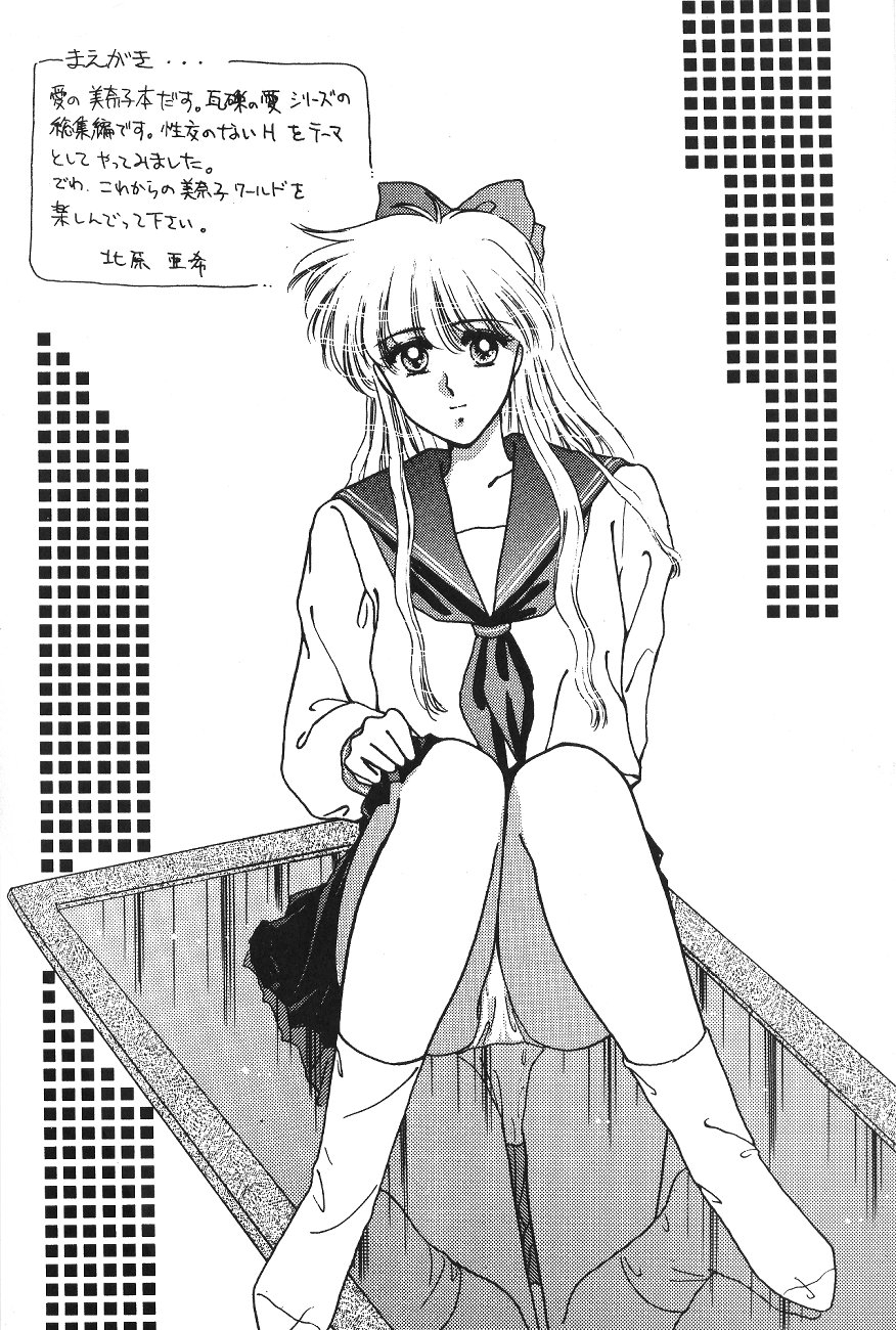 (C47) [Secret Society M (Kitahara Aki)] Minako (Bishoujo Senshi Sailor Moon) 2