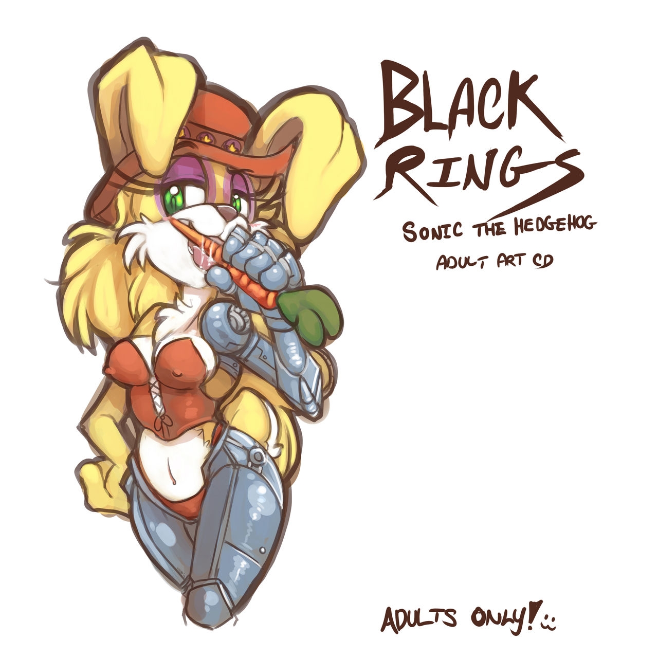 [Kayla-Na] Black Rings CD (Sonic the Hedgehog) 8
