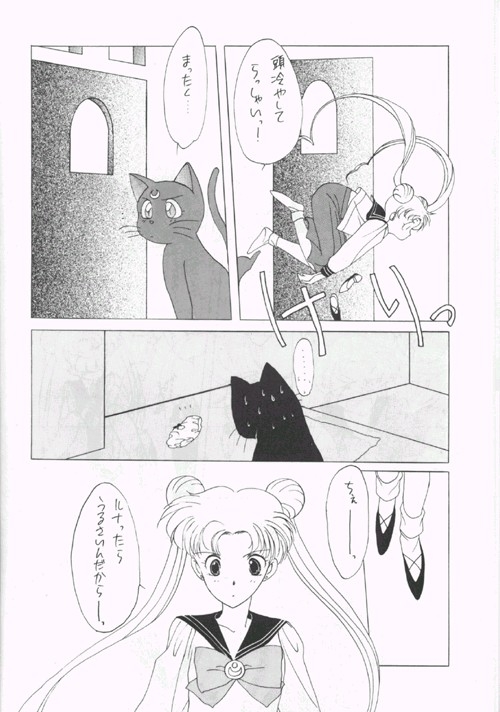 (CR12) [Kotatsuya CO.,LTD (Tatsuneko)] SAILORS Blue Version (Bishoujo Senshi Sailor Moon) 9