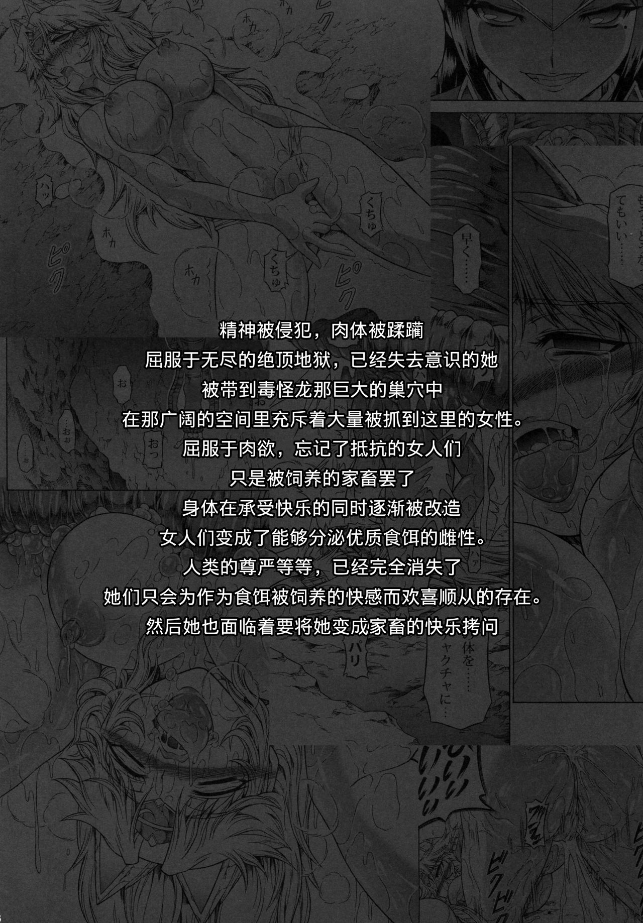 (C87) [Yokohama Junky (Makari Tohru)] Solo Hunter no Seitai 4 The Fourth Part (Monster Hunter) [Chinese] [无毒汉化组 X 屏幕脏了汉化组] 6