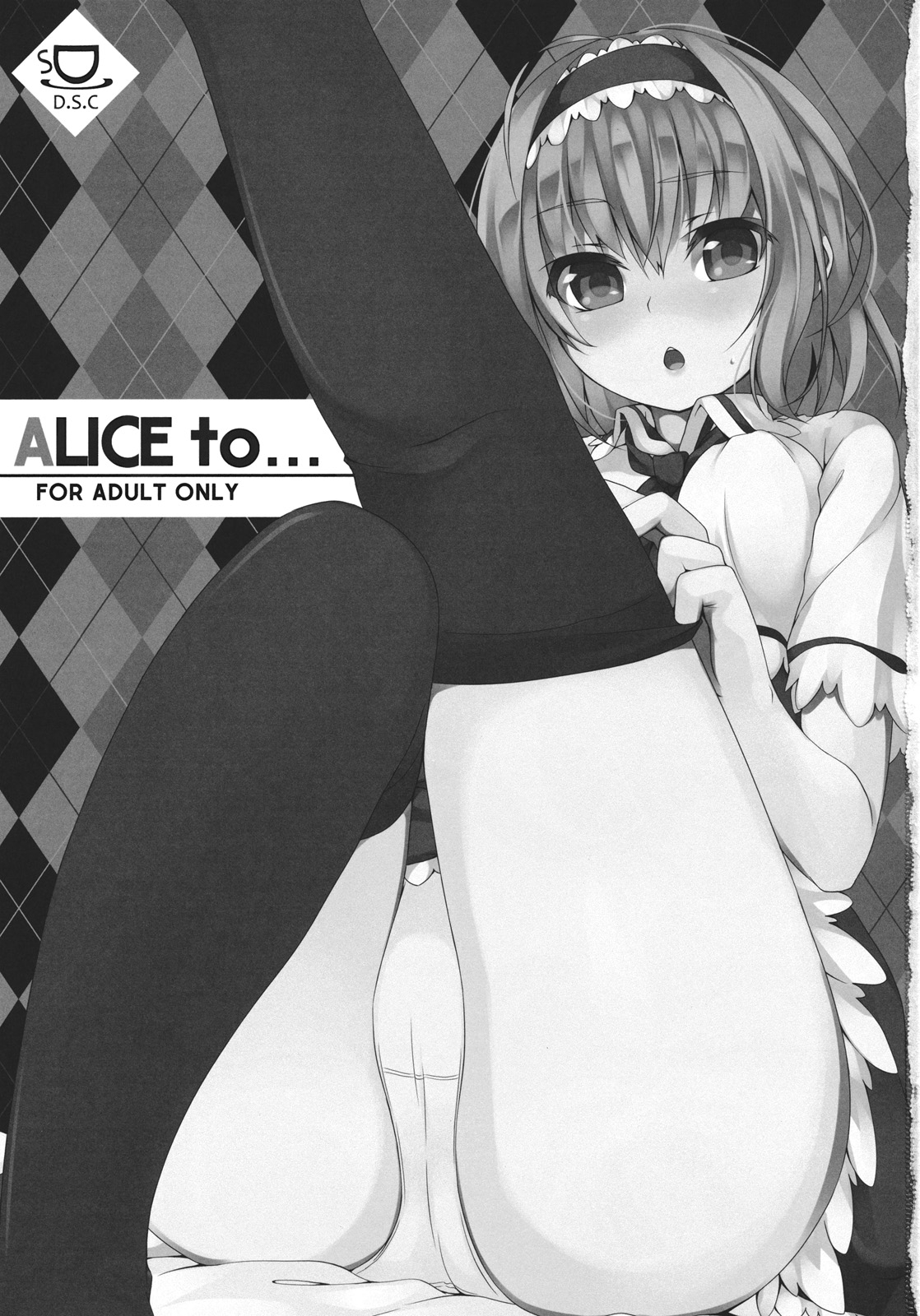 (Reitaisai 9) [Shinkai Kissa (Unasaka)] ALICE to... (Touhou Project) [Spanish] [Biblioteca Hentai] 1