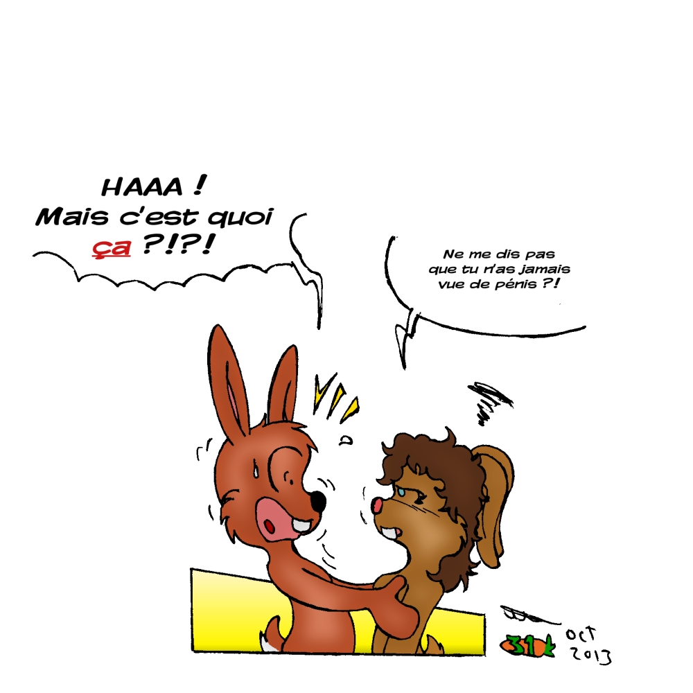 Chaud Lapin(French) 24