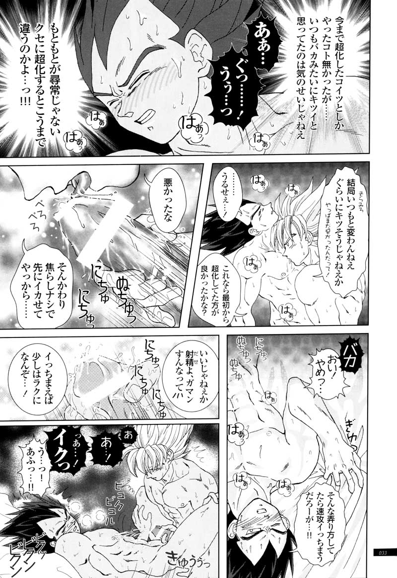 [GREFREE (ema)] Sairokua (Blaze, Voice, +A) (DRAGON BALL Z) 30