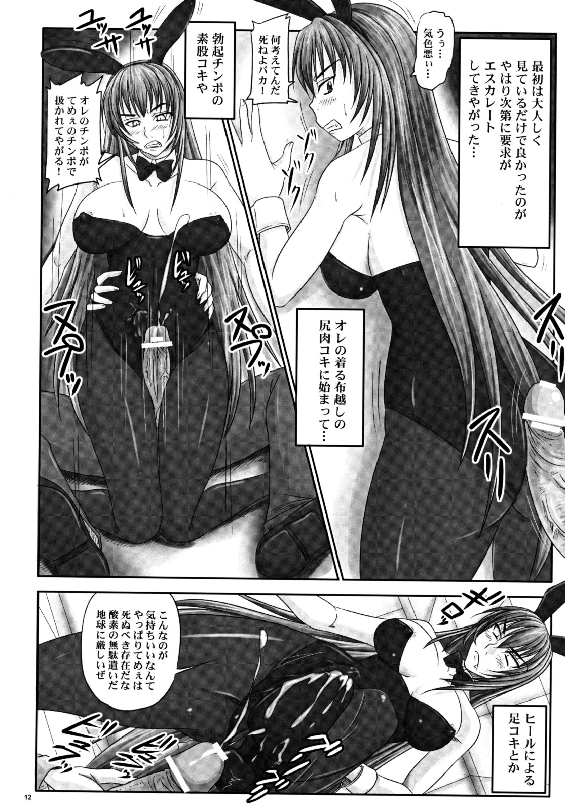 (A3) [Nozarashi (Nozarashi Satoru)] Misshitsu de Kyoubou Bunny Hime to Futarikiri. 10