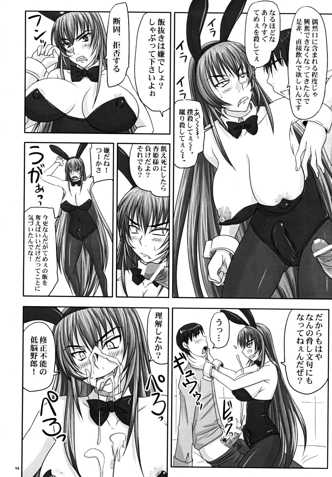 (A3) [Nozarashi (Nozarashi Satoru)] Misshitsu de Kyoubou Bunny Hime to Futarikiri. 12