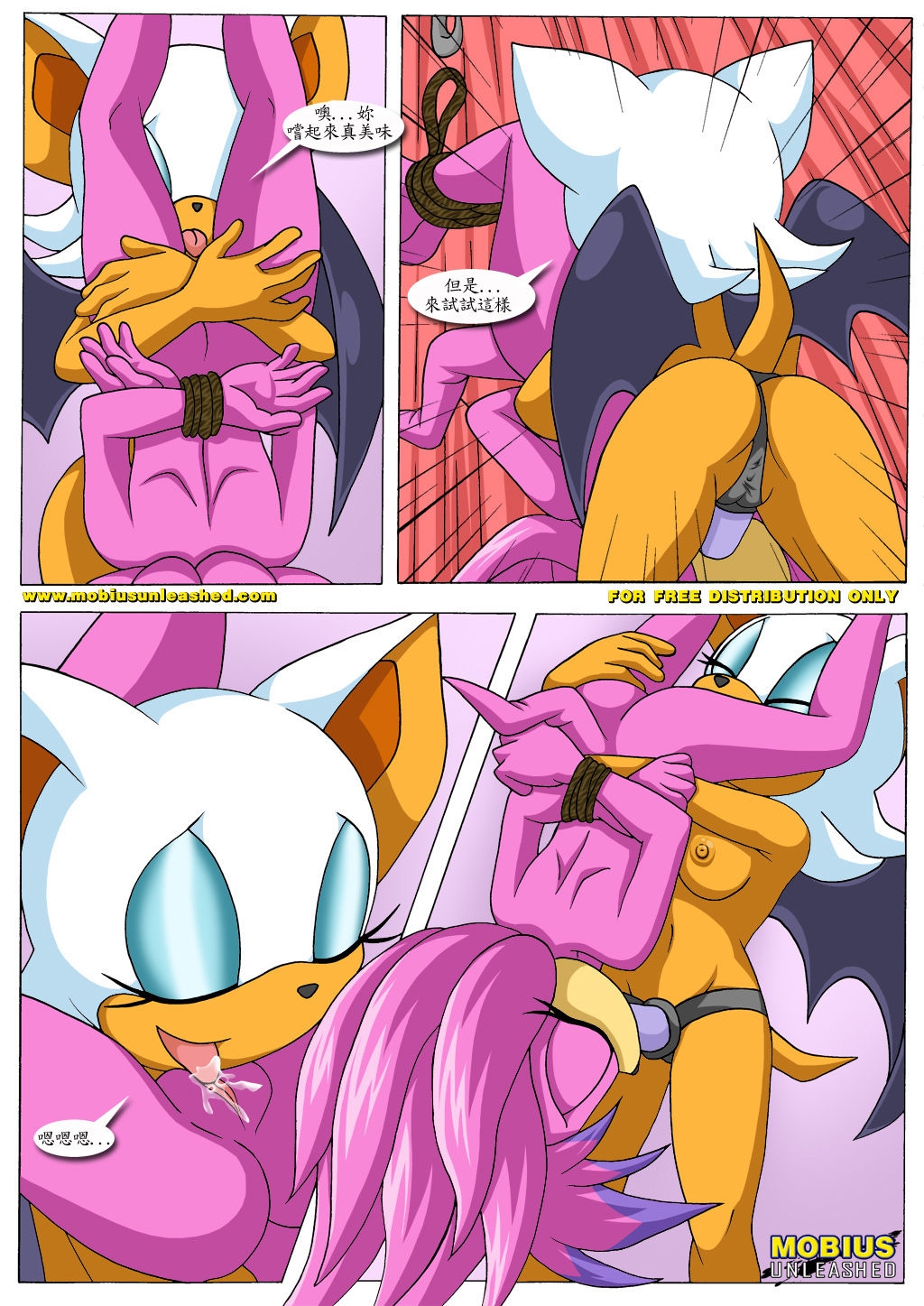 [Mobius Unleashed (Palcomix)] Rouge's Toys (chinese) 9