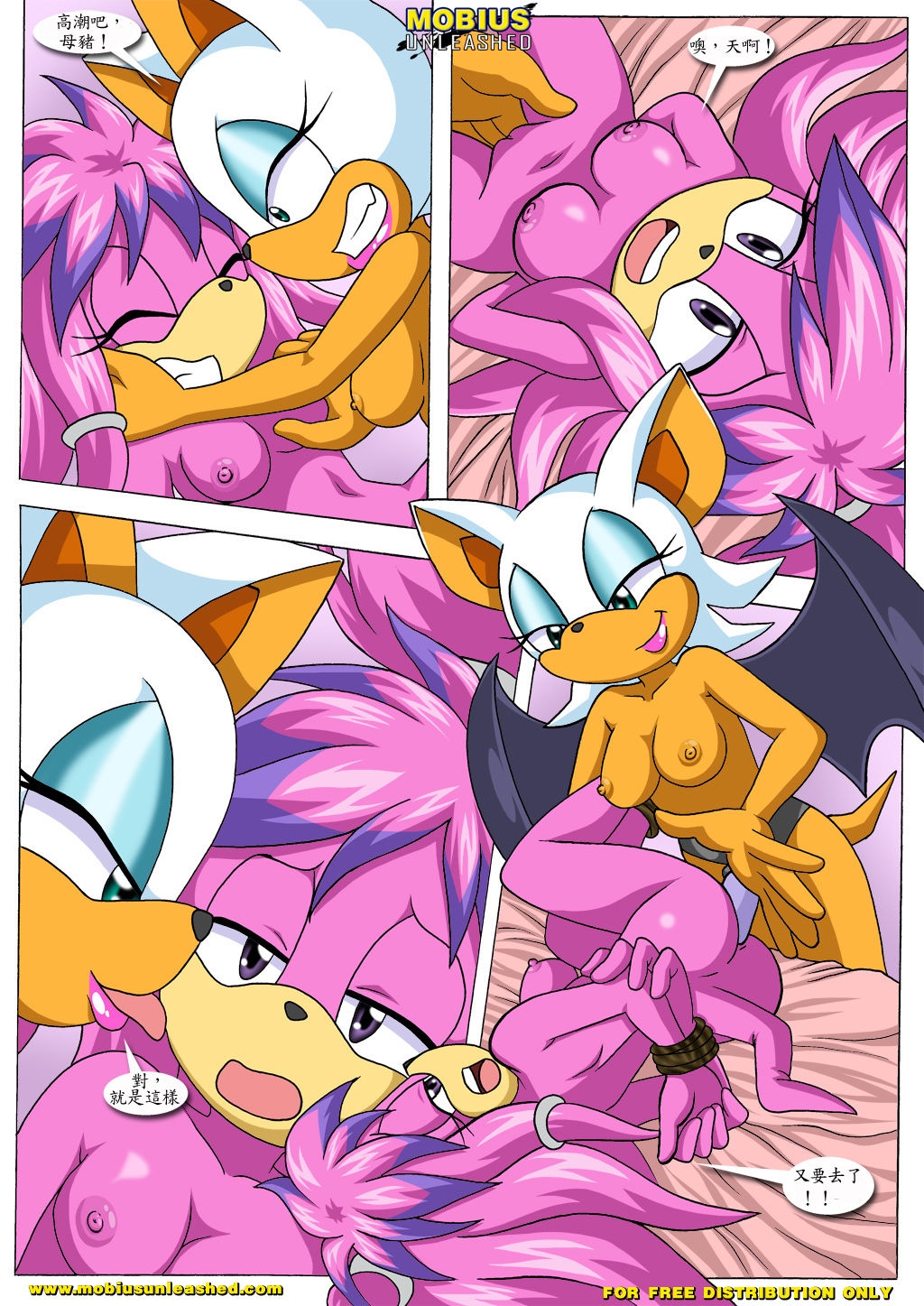 [Mobius Unleashed (Palcomix)] Rouge's Toys (chinese) 11
