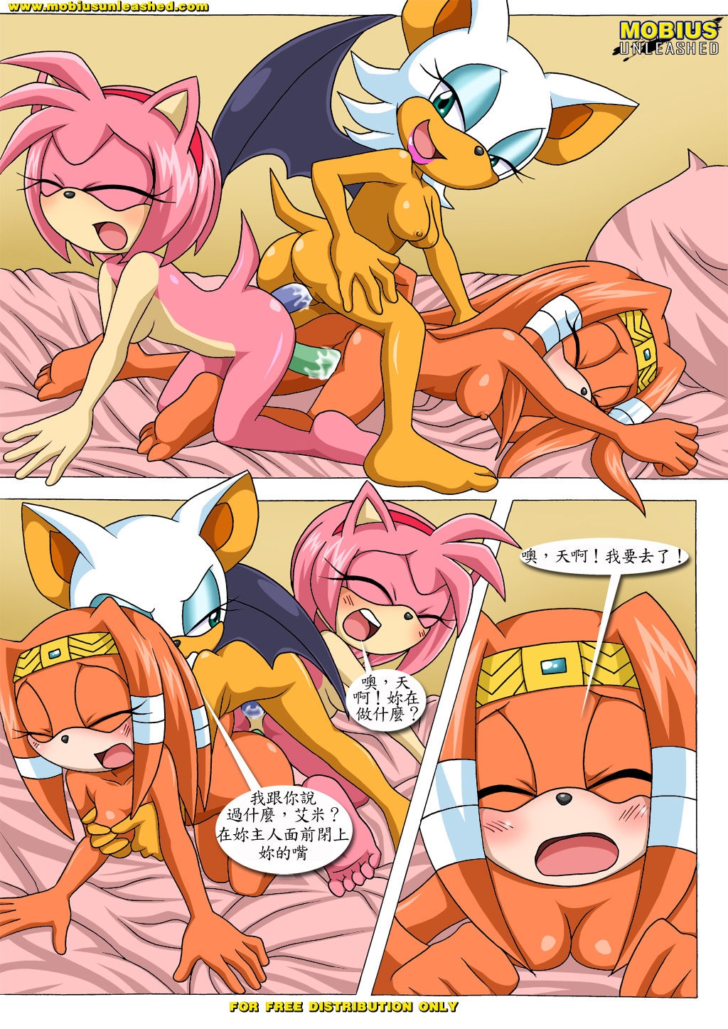 [Mobius Unleashed (Palcomix)] Rouge's Toys (chinese) 21