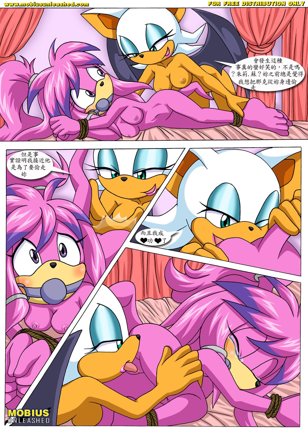 [Mobius Unleashed (Palcomix)] Rouge's Toys (chinese) 2