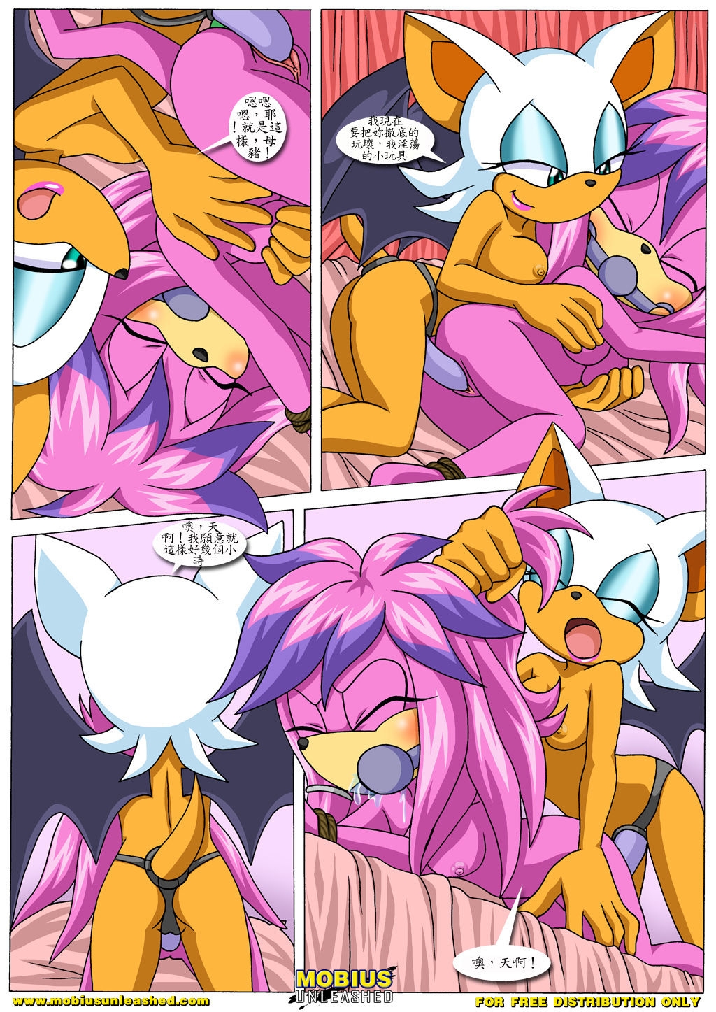 [Mobius Unleashed (Palcomix)] Rouge's Toys (chinese) 5