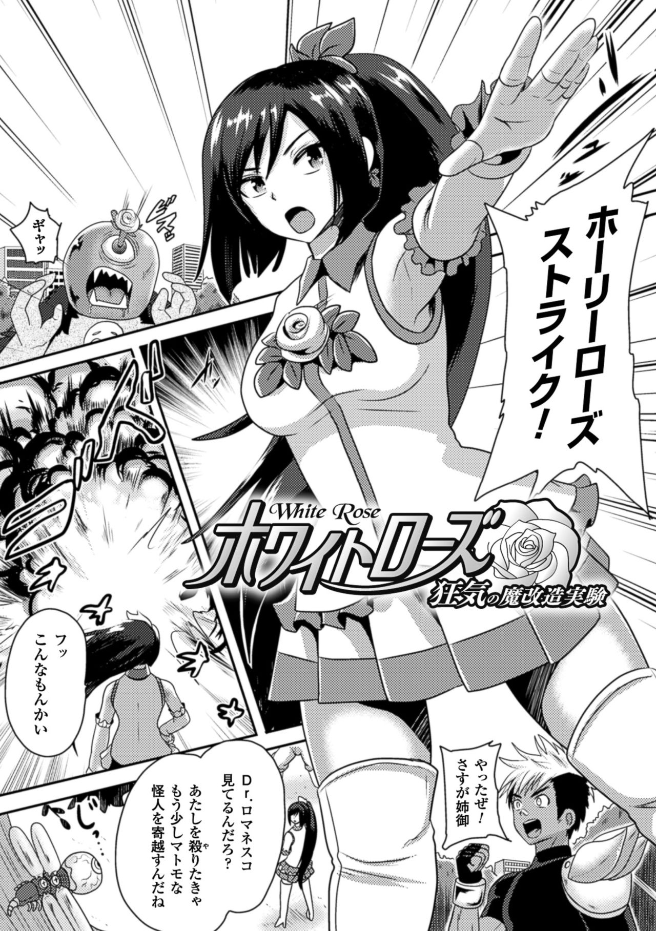 [Akuochisukii Sensei] Akuochisukii Sensei no Heroine Haiboku no Houteishiki - Equation of Heroine's defeat by Mr. Akuochisukii [Digital] 48