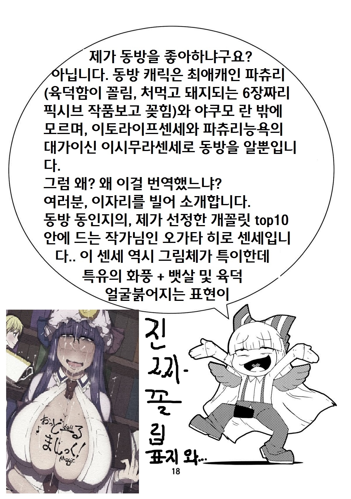 (C83) [Moeru Gomi (Ogata Hiro)] HATE and LOVE (Touhou Project) [Korean] [Hassan] 17