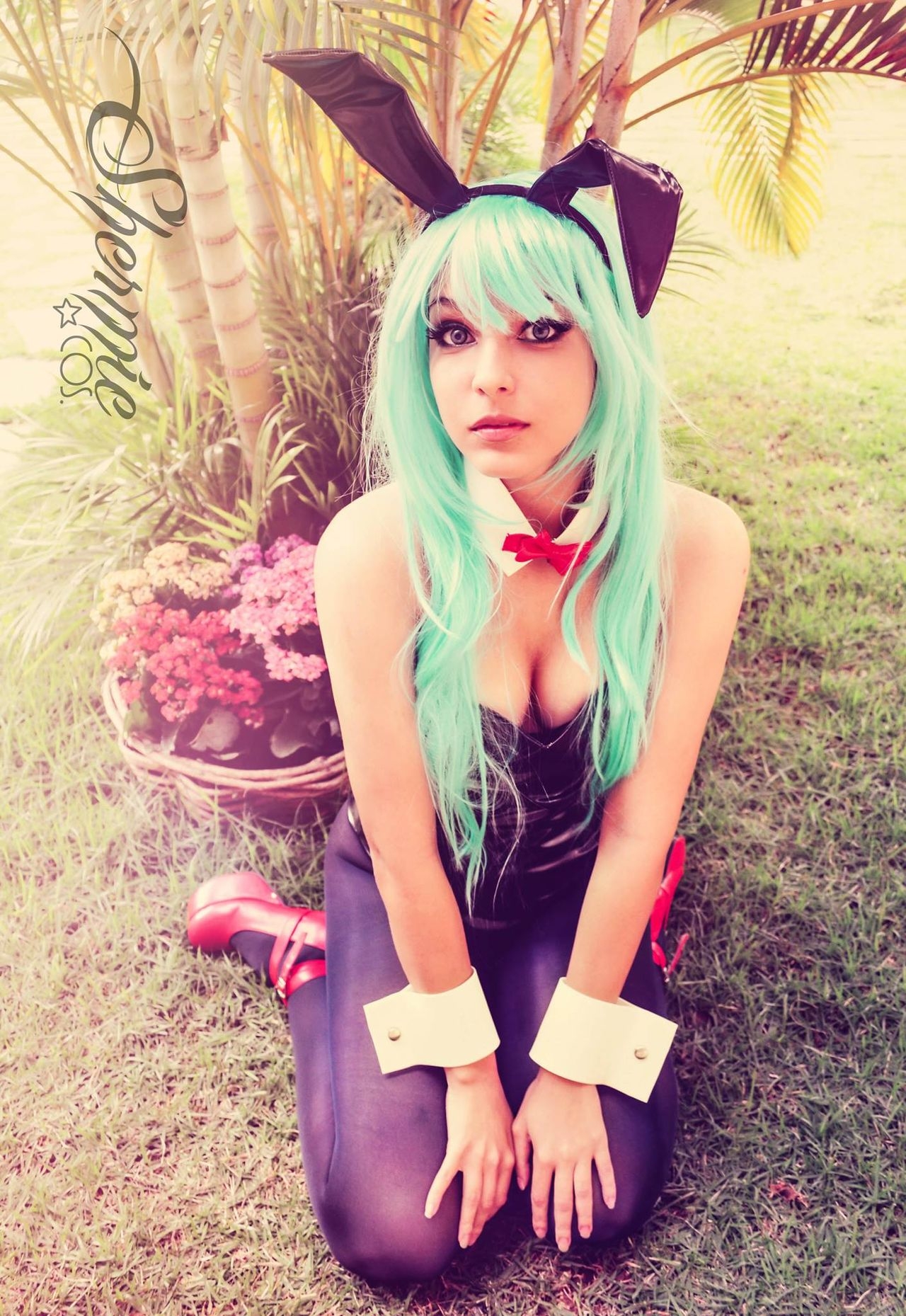 Bulma in Bunny Costume (Dragonball) 0