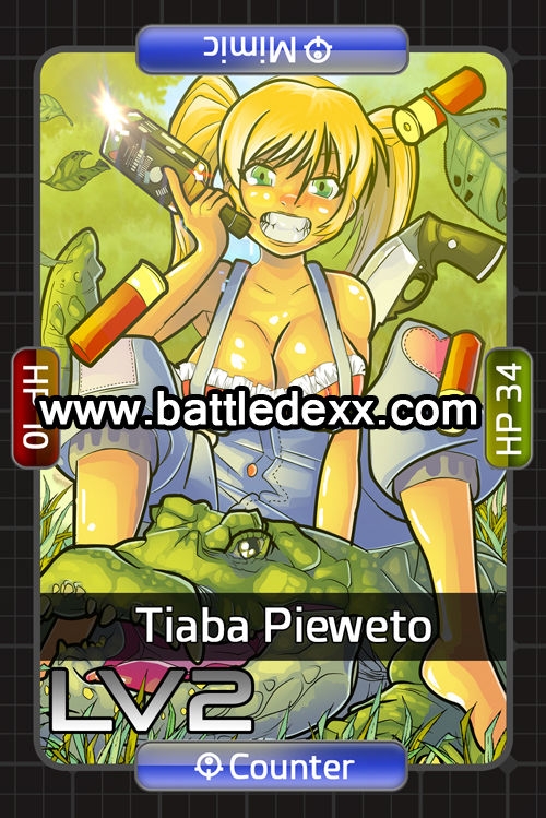 Battledexx Trading Card Game 41