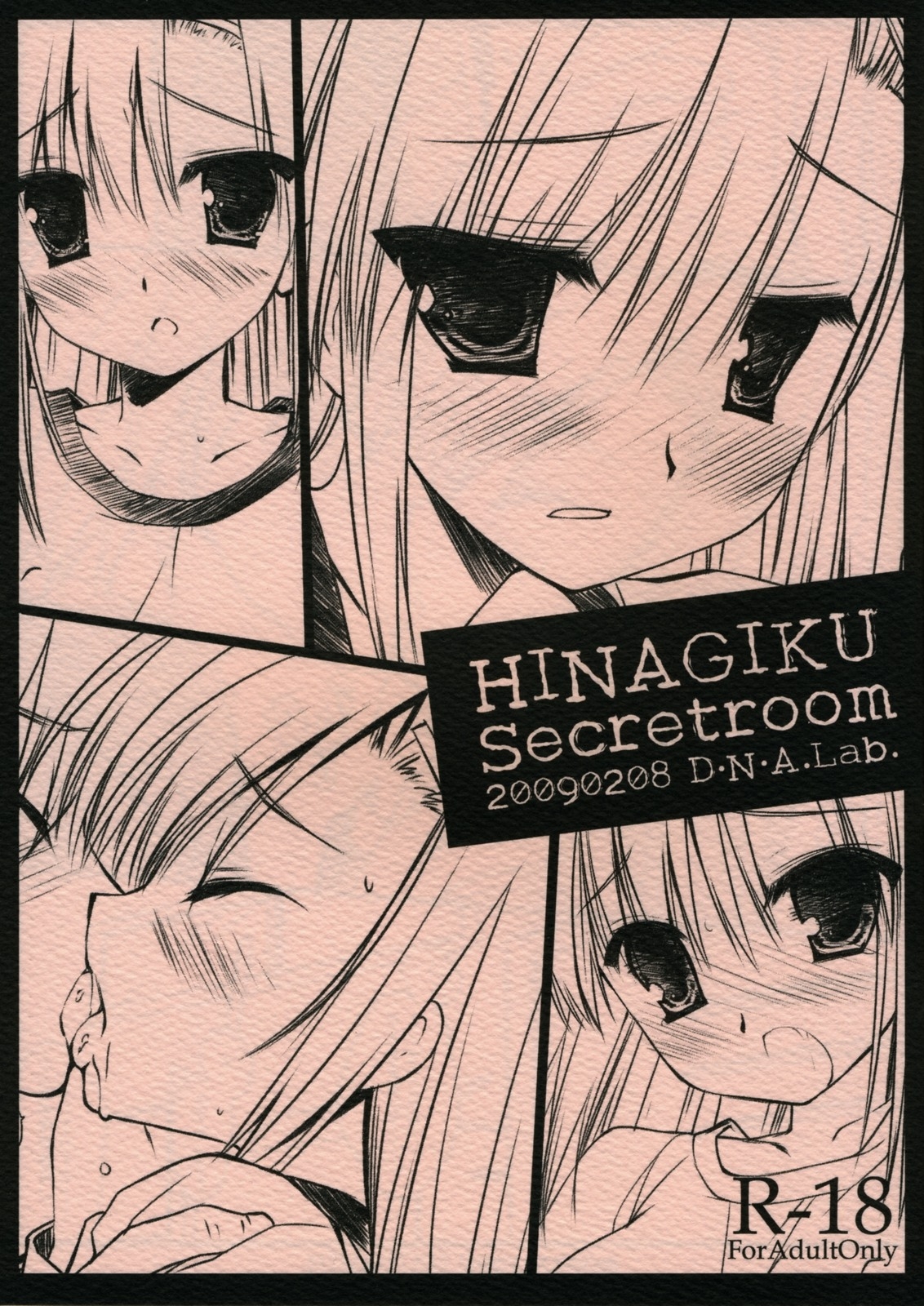 (SC42) [D.N.A.Lab. (Miyasu Risa)] HINAGIKU Secretroom (Hayate no Gotoku!) 0