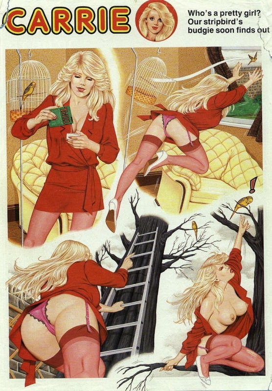 Carrie Carton Girl Strip Complete 1972-1988 298