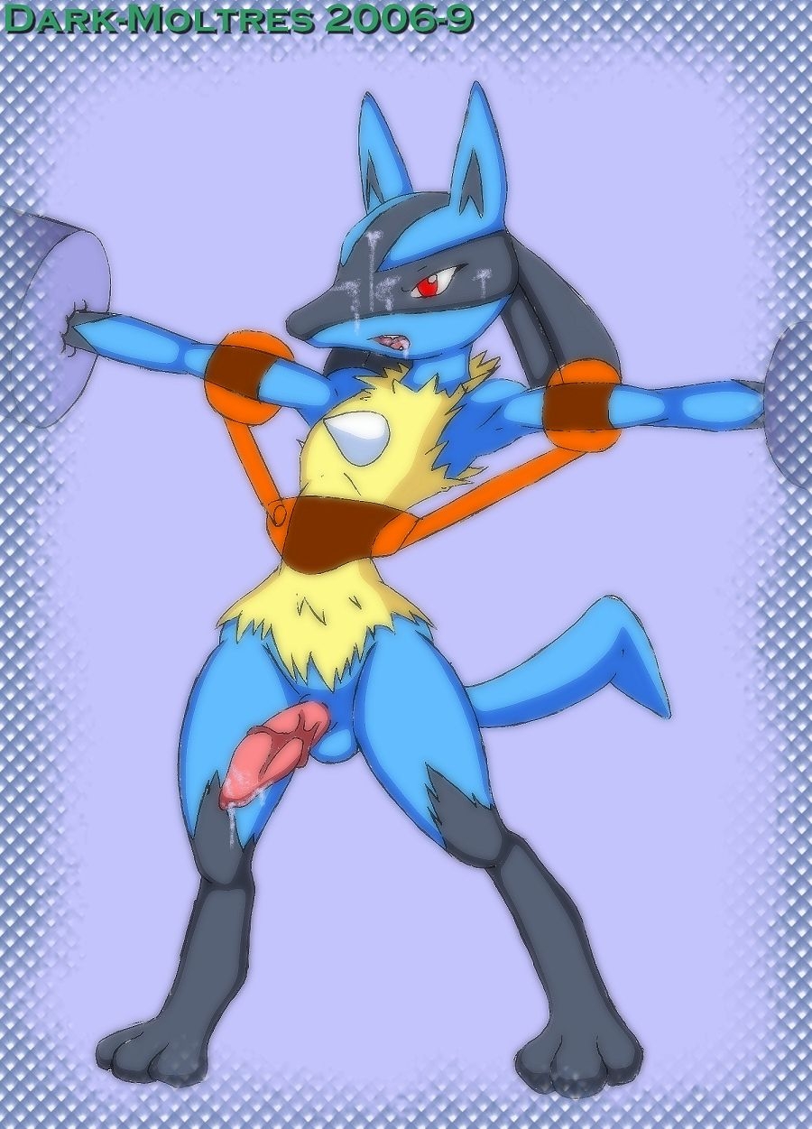 Lucario2 50