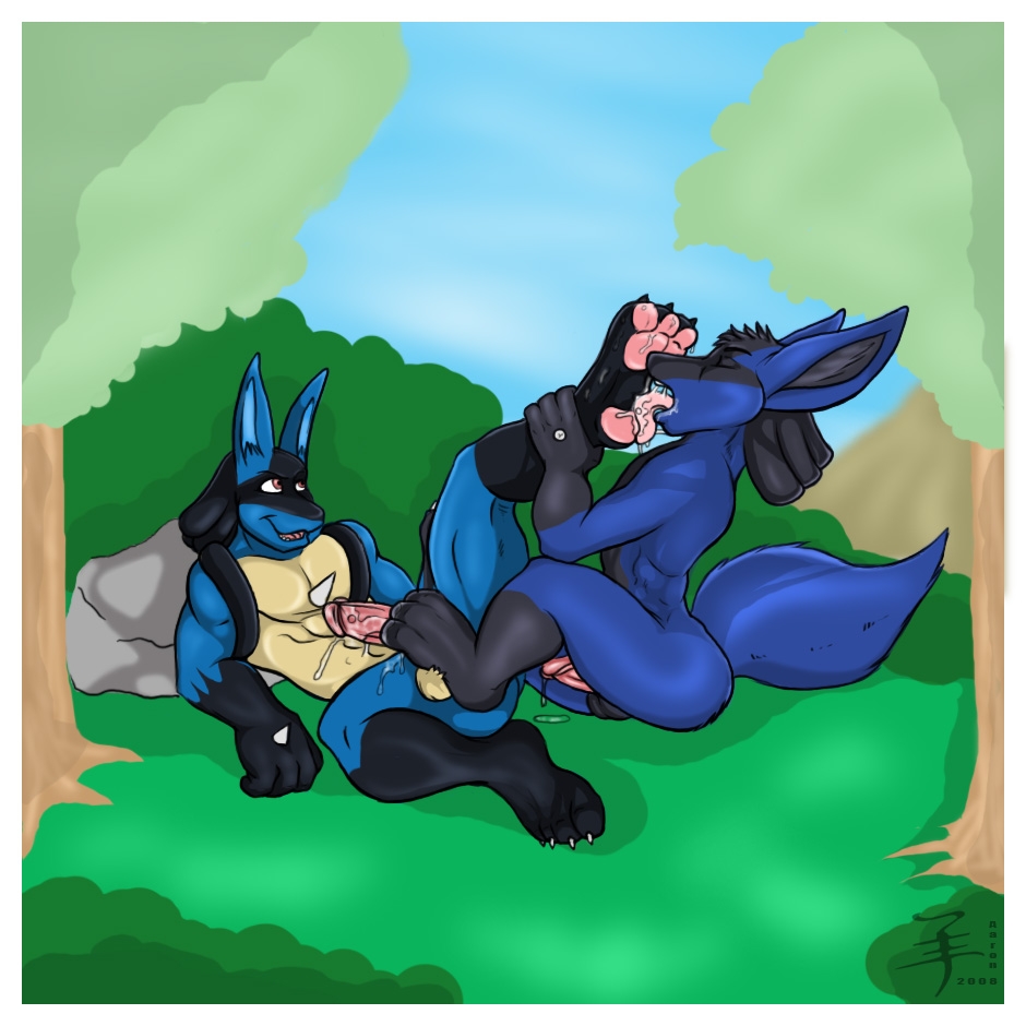 Lucario2 72