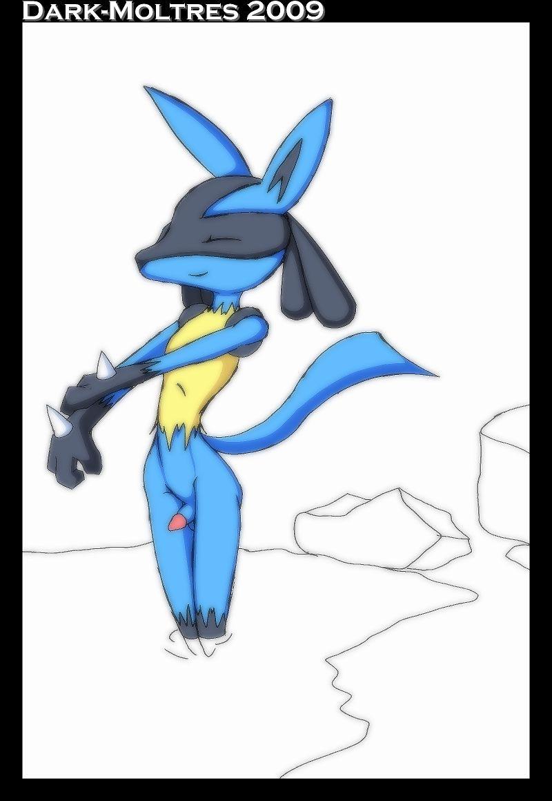 Lucario2 90