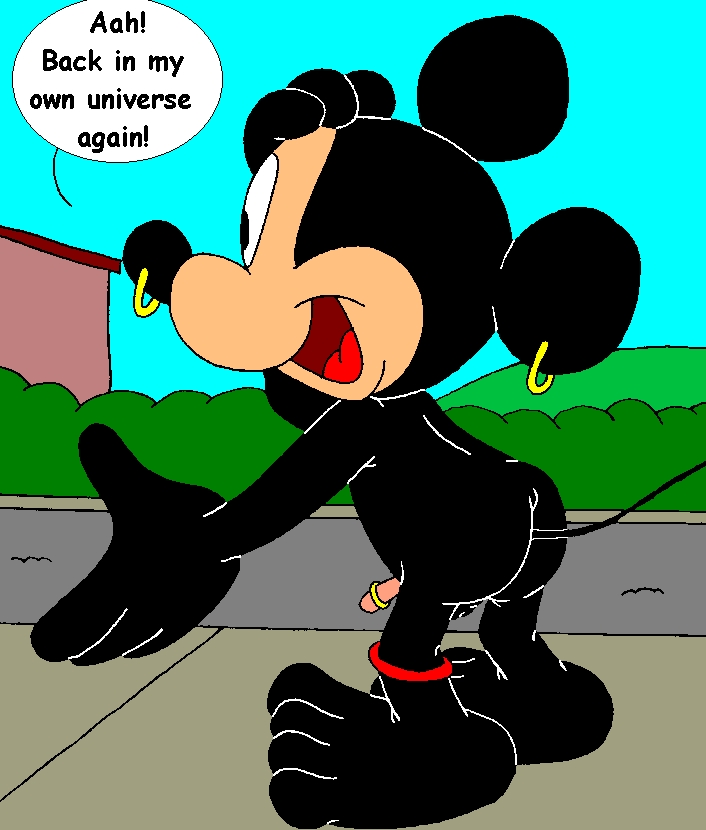 Parallel Mickey 163