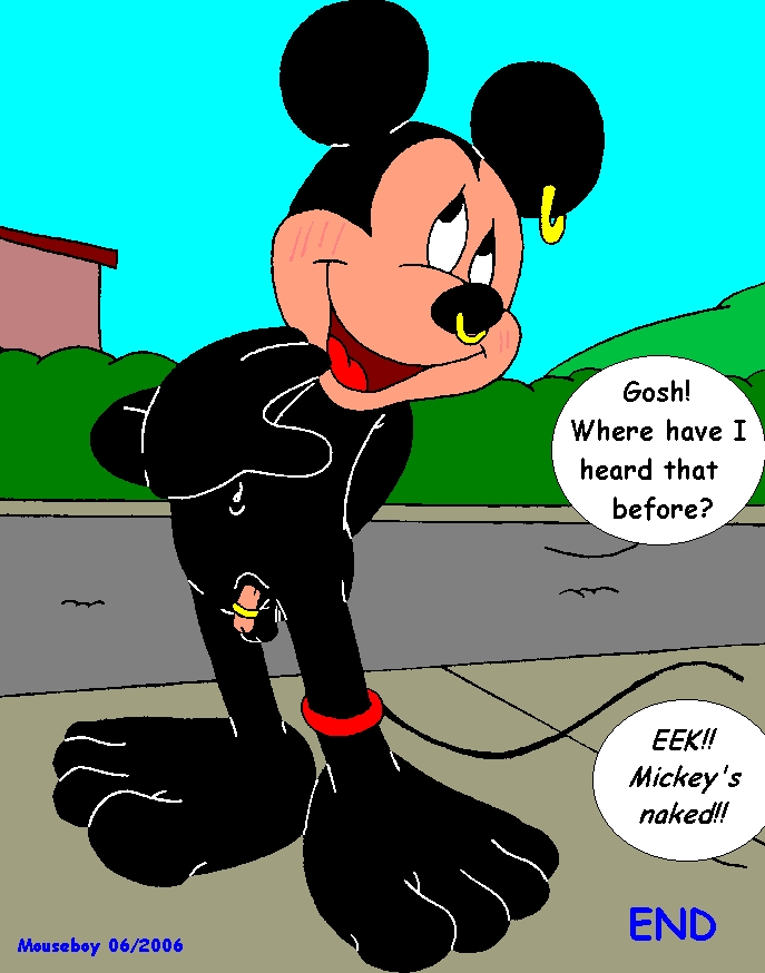 Parallel Mickey 165
