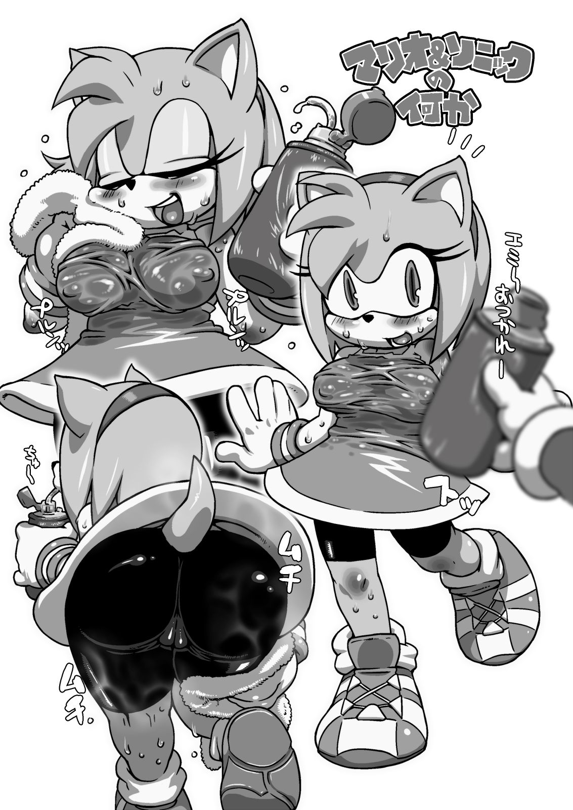 [Umasugiyu (Nezumin)] Hotondo Sonic (Sonic The Hedgehog) [Decensored] 9