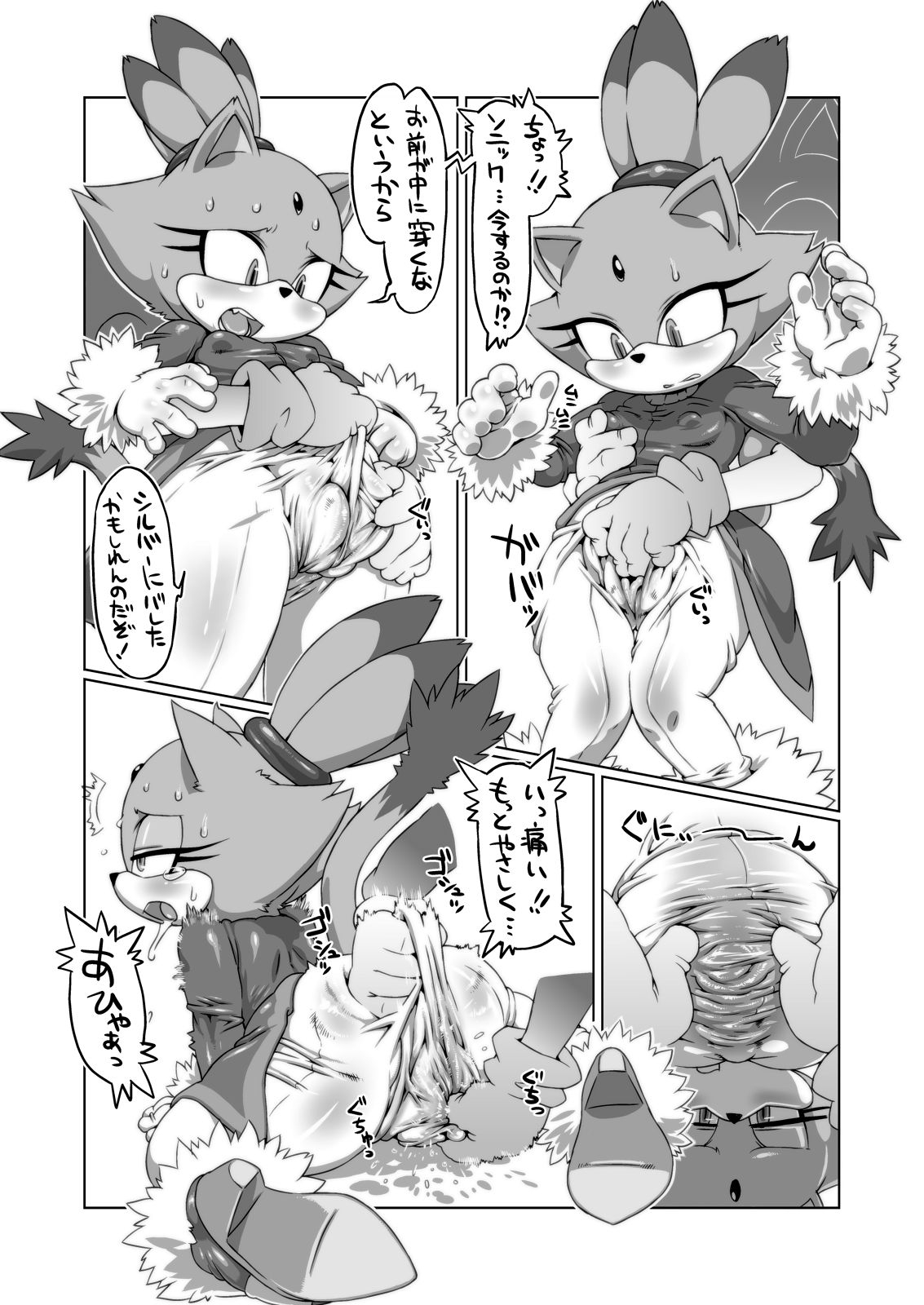 [Umasugiyu (Nezumin)] Hotondo Sonic (Sonic The Hedgehog) [Decensored] 5