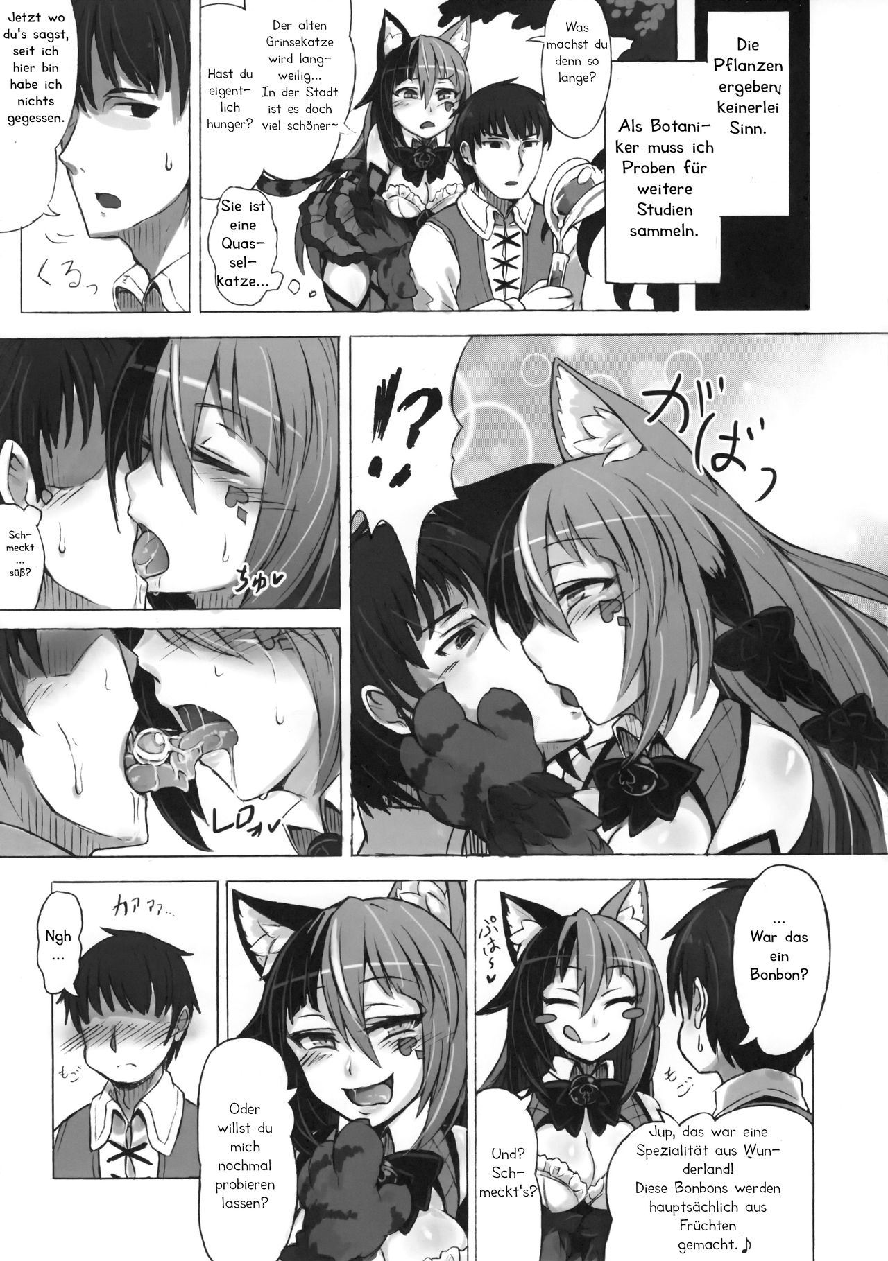 (C89) [Kurobinega (Kenkou Cross)] Mamono Musume Zukan Higai Houkoku ~Cheshire Neko no Oidemase Fushigi no Kuni~ | Monster Girl Encyclopedia Damage Report ~Willkommen im Wunderland~ [German] [Haigen] 8