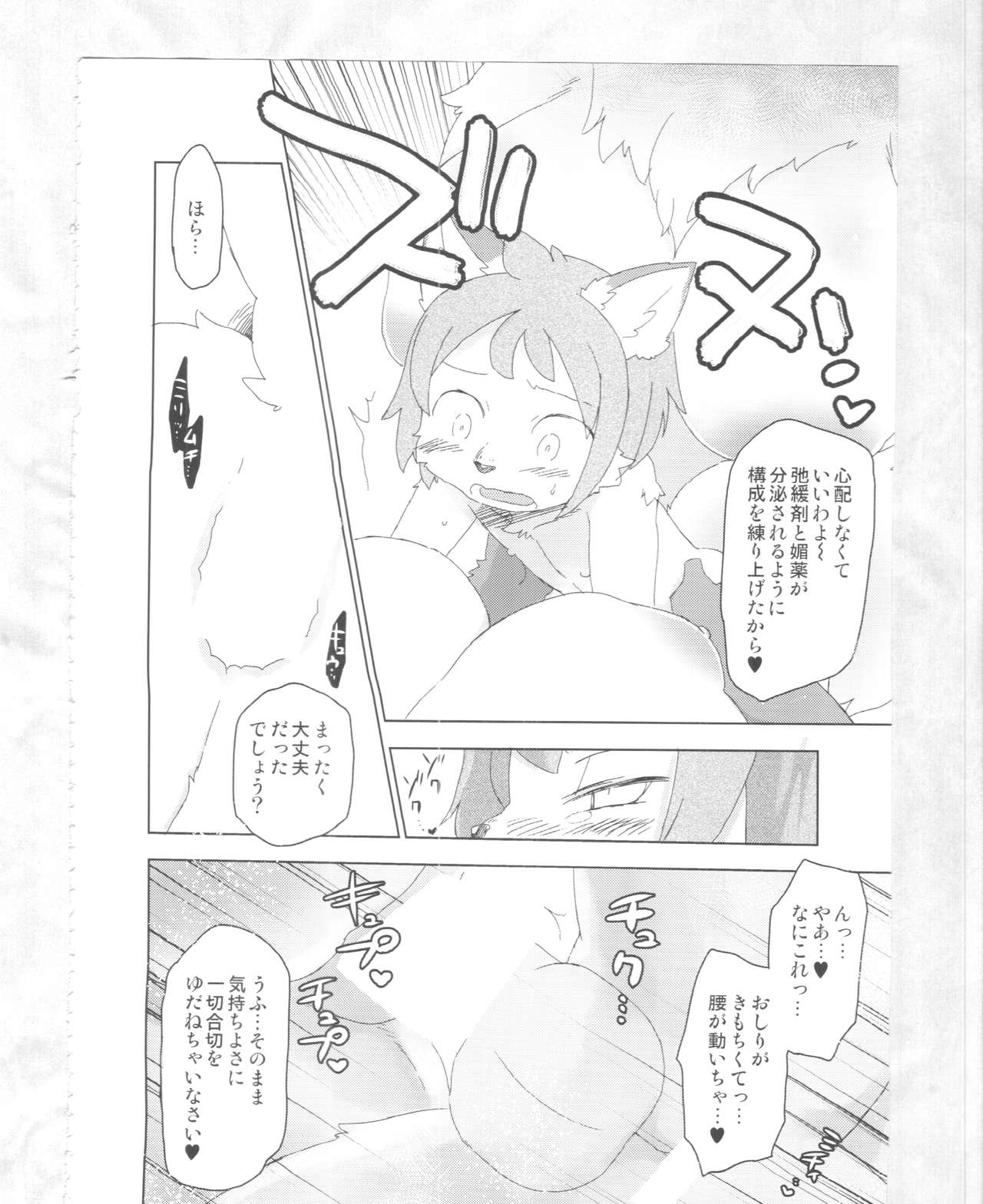 (C89) [Nininini (DANGAN, kyuuri)] Kaze yo. Kitsune ni Todoite iru ka (ConConCollector(Katte Edition)) 13