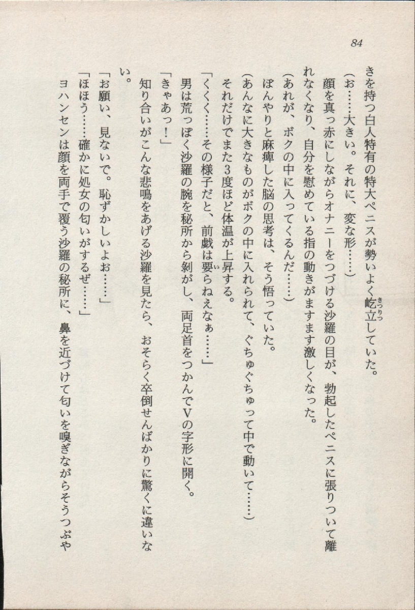 [Nakaoi Kimu, Kudara Naizou] Treasure Hunter Sara - Kindan no Maingyoku 84