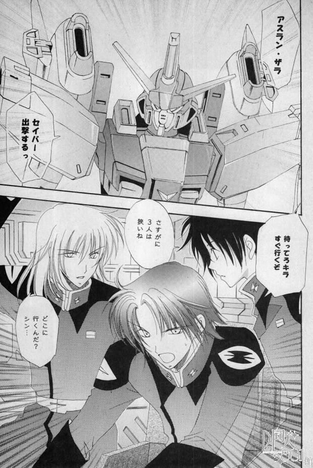 [Mutsuharu (Kagami Haruki)] Love Scramble (Gundam SEED DESTINY) 7