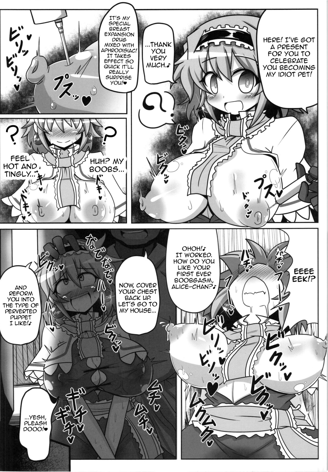 (Reitaisai 12) [Ato Nana Fun (Rindou)] Alice to Sex! (Touhou Project) [English] [Toks] 4