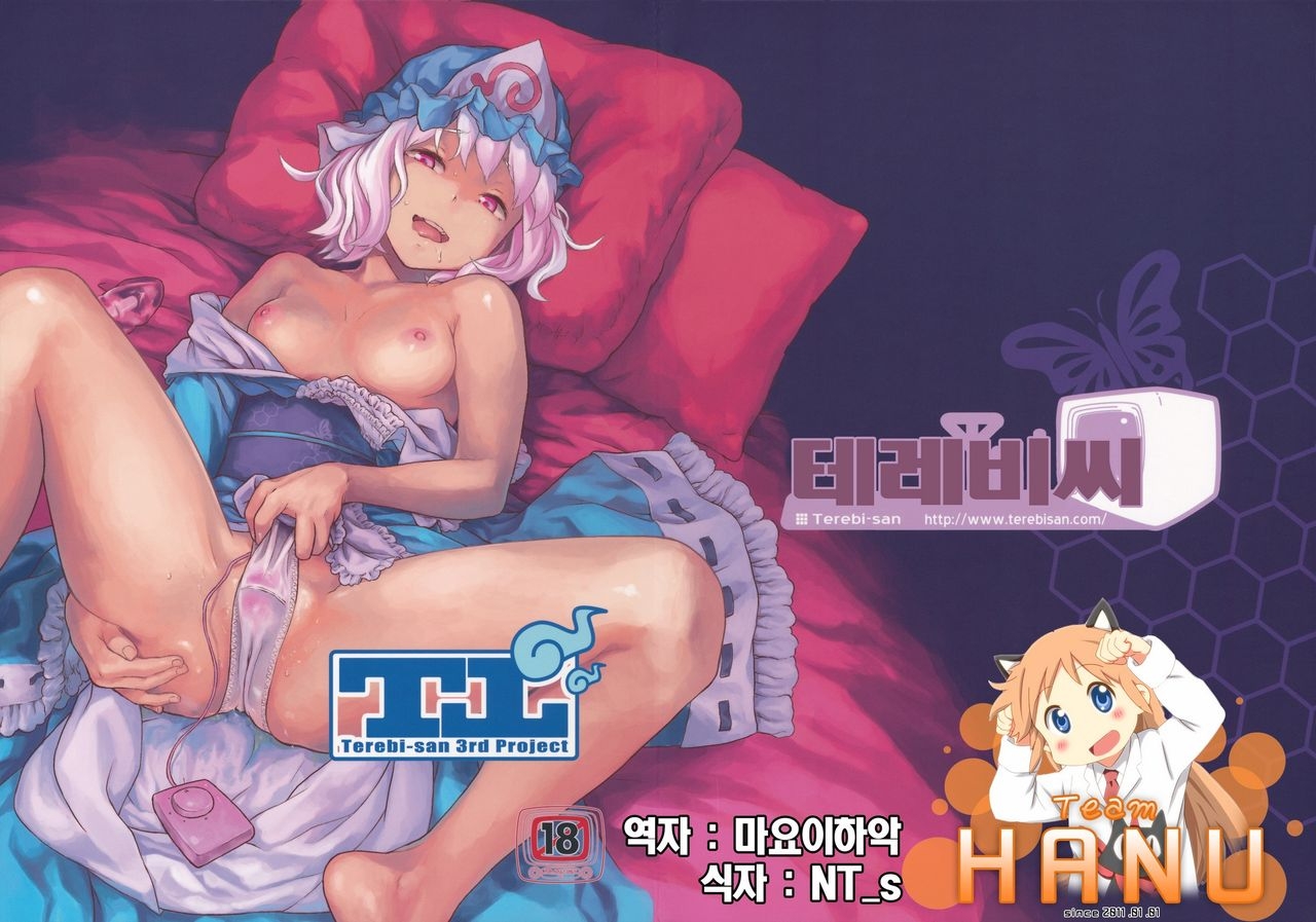 (C80) [Terebisan (Chuusuu Kairo)] Touhou Terebisan (Touhou Project) [Korean] [Team HA-NU] 0