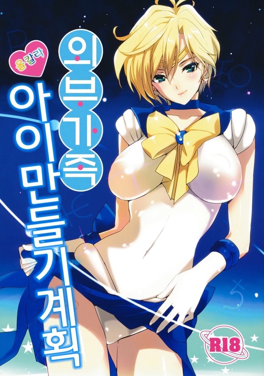 (C80) [ROUTE1 (Taira Tsukune)] Gaibu Kazoku Kozukuri Keikaku | 의브기즉 아이만들기 계획 (Bishoujo Senshi Sailor Moon) [Korean] 0