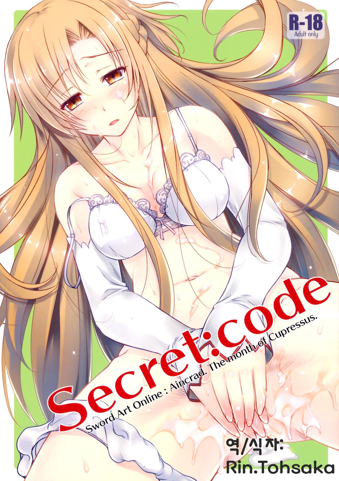 (CT20) [Kaiki Nisshoku (Ayano Naoto)] Secret:code (Sword Art Online) [korean] 0