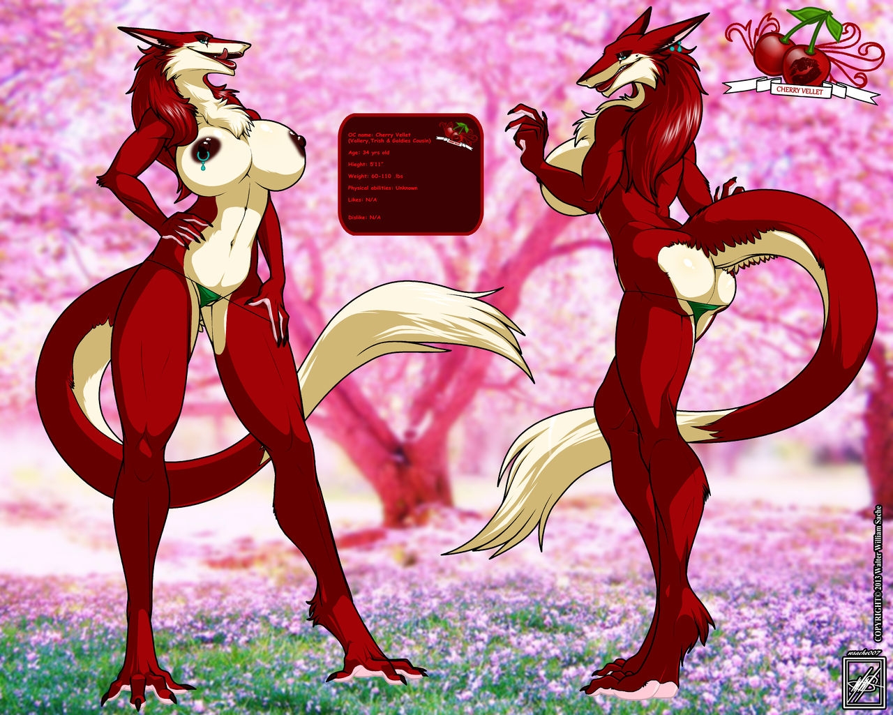Walter Sache's OC-Characters: [Vallery the Sergal & Co.]{ February 9, 2011 - March 28, 2016} 30