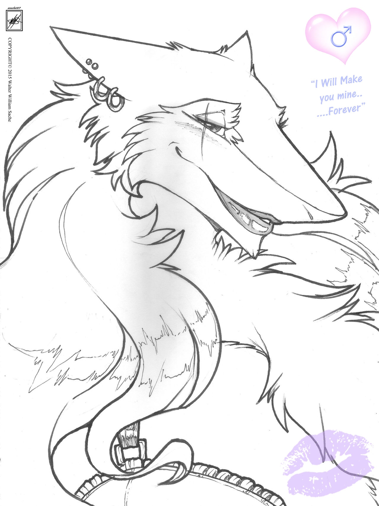 Walter Sache's OC-Characters: [Vallery the Sergal & Co.]{ February 9, 2011 - March 28, 2016} 39